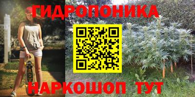 ГАЛЛЮЦИНОГЕННЫЕ ГРИБЫ Славгород